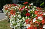 East Grinstead In Bloom Stock Photo