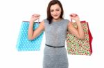 Youngg Woman With Shopping Bags Stock Photo