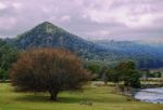 Farming Field In Tasmania, Australia Stock Photo