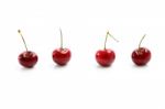 Four Cherries Stock Photo