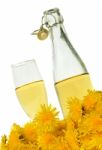 Dandelion Wine Stock Photo