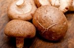 Shiitake Mushrooms Stock Photo