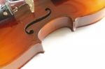 Violin On White Background Stock Photo