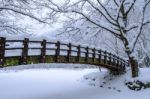 Snow Falling In Park And A Walking Bridge In Winter, Winter Landscape Stock Photo