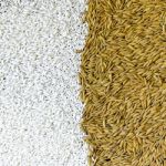 Background From Pile Of Paddy Rice And And Rice Seed Stock Photo