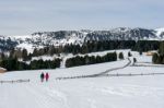 Couple Walking On The Alp In Rinderplatz Pasture In South Tyrol Stock Photo