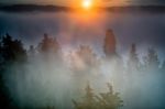 Mist At Sunrise In Tuscany Stock Photo