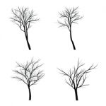 Trees With Dead Branch Stock Photo