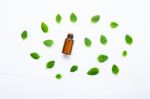 Natural Mint Essential Oil In A Glass Bottle With Fresh Mint Lea Stock Photo