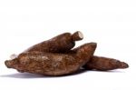 Cassava Root Stock Photo