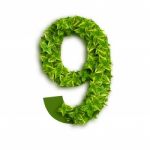 Alphabet Number 9 With Leaves Stock Photo