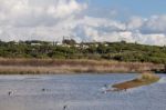 Marshlands In The Algarve Region Stock Photo