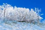 Deogyusan Mountains Is Covered By Snow In Winter,south Korea Stock Photo