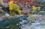 Autumn In Zion Stock Photo