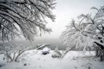 Winter At Kawaguchi-ko, Japan. First Snow In 2016 Stock Photo