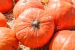 Orange Pumpkins On Straw Stock Photo