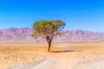 Desert Landscape Near Sesriem In Namibia Stock Photo