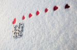 Love On Valentine's Day Stock Photo