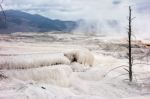 View Of Mammoth Hot Springs Stock Photo