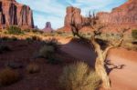 Dead Tree In Monument Valley Utah Stock Photo