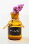 Bottle Of Essential Oil On White Stock Photo