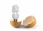 Bulb On Broken Egg Stock Photo