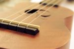 Ukulele White Background Stock Photo