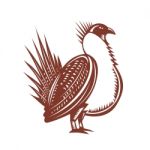 Sage Grouse Bird Woodcut Stock Photo