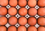 Eggs In Paper Tray Stock Photo