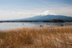 Mt Fuji In The Early Morning Stock Photo