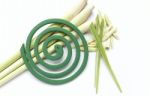 Green Mosquito Coil On Fresh Lemongrass Stock Photo