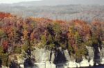 Trees On The Mountain Stock Photo