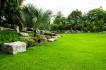 Green Grass Field In Park Stock Photo