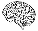 Doodle Uman Brain Outline Sketched Up Stock Photo