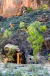 Trees And Boulders In Zion National Park Stock Photo