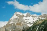 snowy Mountain with trees Stock Photo