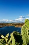 Beautiful Marshlands Stock Photo