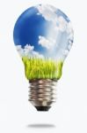 Light Bulb With Paddy Rice Stock Photo