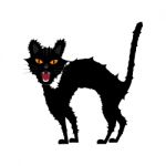 Halloween Growl Black Cat Stock Photo