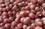 Group Of Red Onion Stock Photo