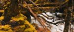 Knyvet Falls In Cradle Mountain Stock Photo