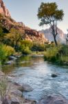 Late Afternoon Virgin River Valley Stock Photo