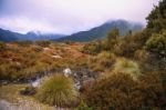 Cradle Mountain In Tasmania On A Cloudy Day Stock Photo