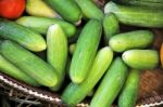 Green Cucumber Stock Photo