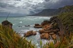 Punakaiki Coastline Stock Photo