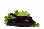 Eggplant On White Background Stock Photo