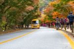 Naejangsan,korea - November 1: Tourists Taking Photos Of The Beautiful Scenery Around Naejangsan Park,south Korea During Autumn Season On November 1, 2015 Stock Photo