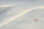 Wedding Rings In The Snow Stock Photo