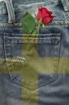 Flag Of Sweden On Jeans Stock Photo