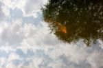 Red Fish In A Lake And Sky Reflection Stock Photo